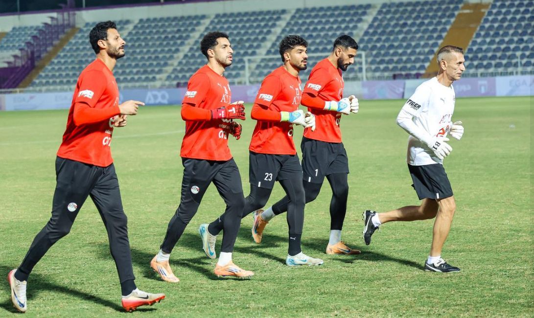 محمد الشناوى محمد الشناوى