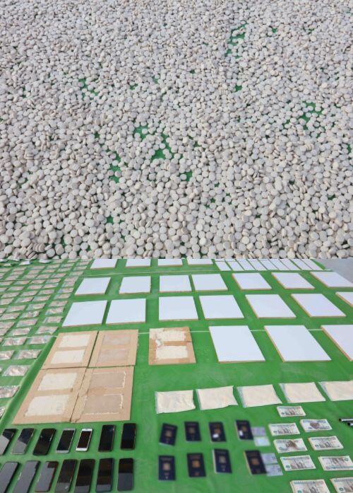 44444444444444 44444444444444