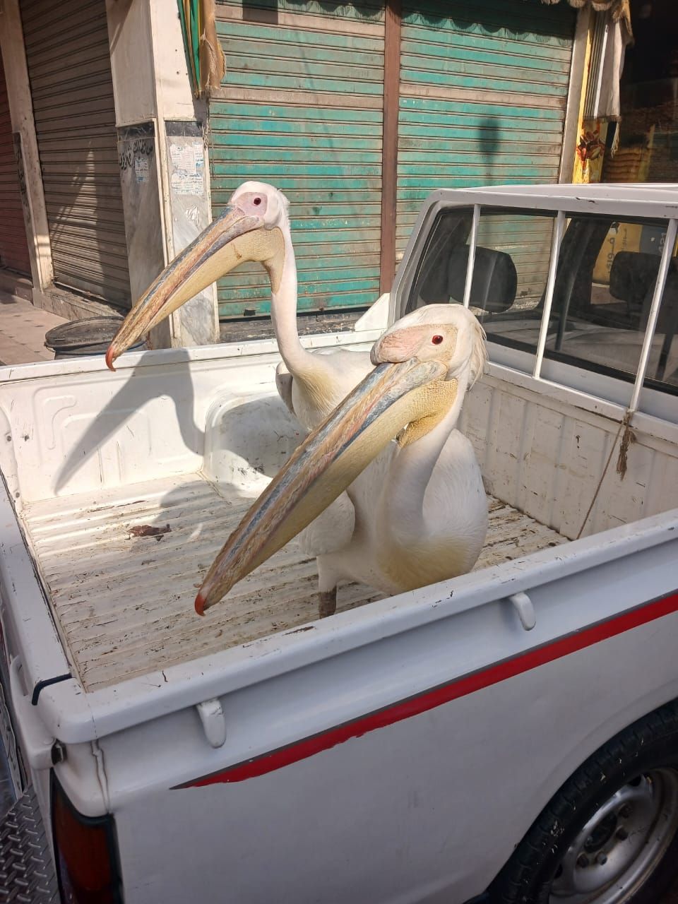 WhatsApp Image 2025-11-16 at 12.00.07 PM WhatsApp Image 2025-11-16 at 12.00.07 PM