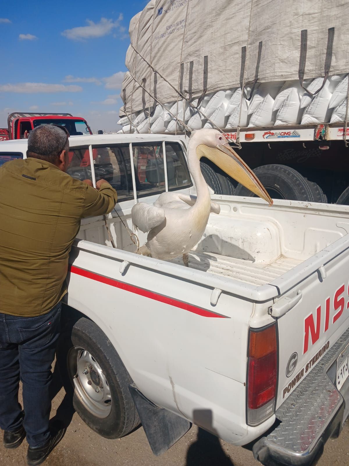 WhatsApp Image 2025-11-16 at 12.00.06 PM WhatsApp Image 2025-11-16 at 12.00.06 PM