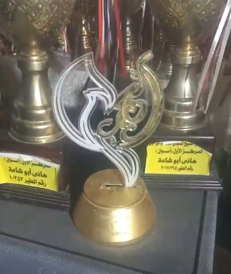 الكئوس التي حصل عليها على مستوى الجمهورية وفي المسابقة الدولية الكئوس التي حصل عليها على مستوى الجمهورية وفي المسابقة الدولية