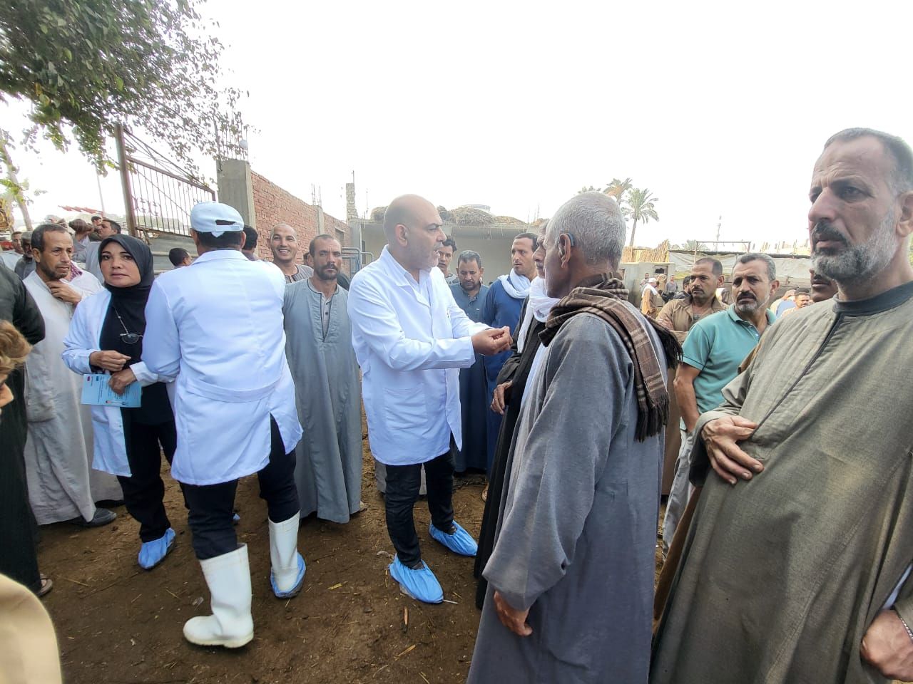 شرح فوائد التحصين للمربين شرح فوائد التحصين للمربين