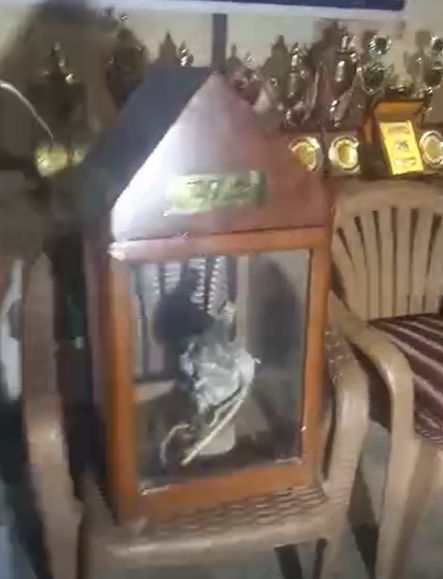 الحمامة المحنطة الحمامة المحنطة