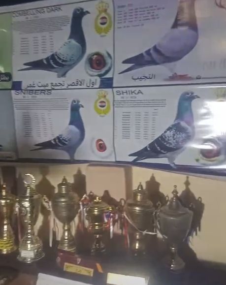 جانب من الجوائز التي حصل عليها هاني أبو شامه جانب من الجوائز التي حصل عليها هاني أبو شامه