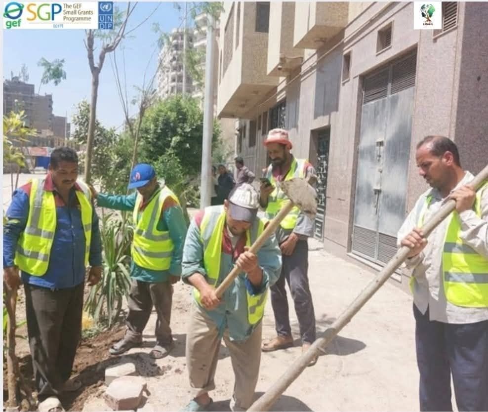 تحويل الميادين لميادين خضراء تحويل الميادين لميادين خضراء