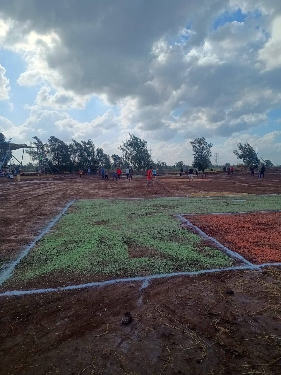 تعاوزن الشباب لتحويل الملعب للوحة فنية تعاوزن الشباب لتحويل الملعب للوحة فنية