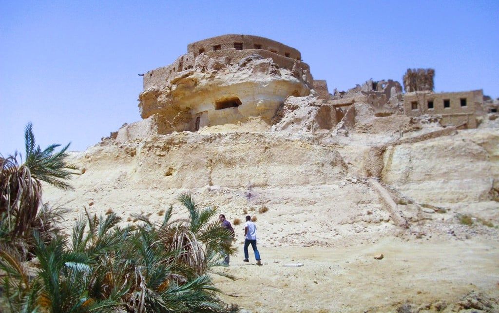 الواحة الاثرية - قارة ام الصغير الواحة الاثرية - قارة ام الصغير