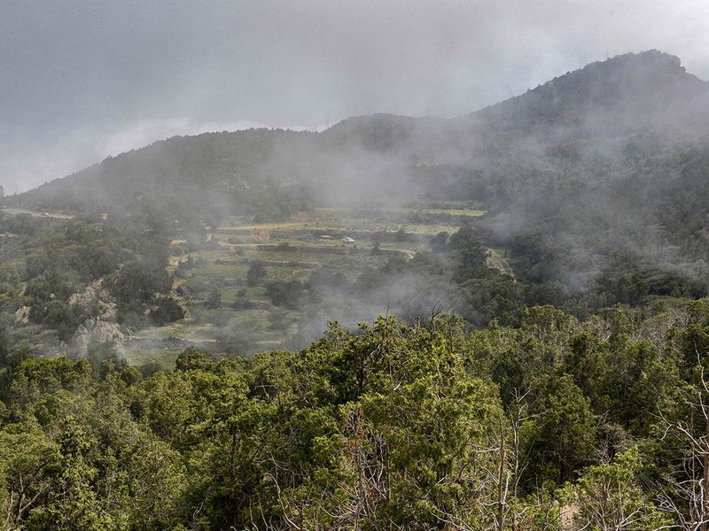 ضباب يحجب الرؤية في محافظتي القريات وطبرجل