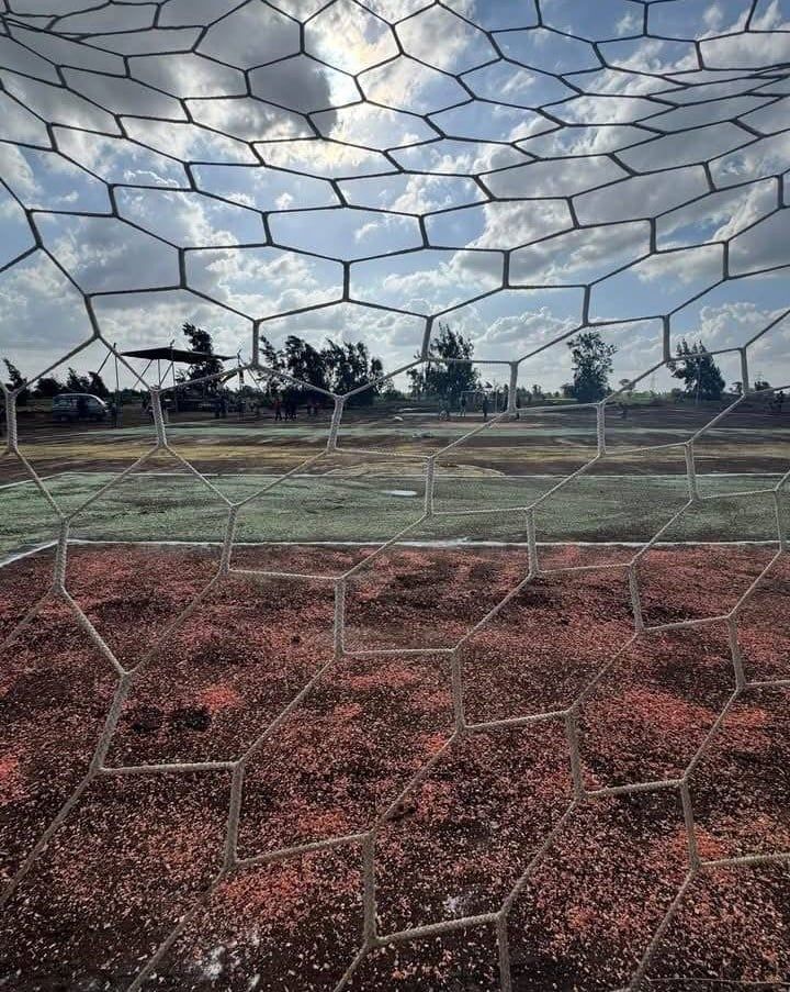 صورة الملعب عقب تخطيطه_1 صورة الملعب عقب تخطيطه_1