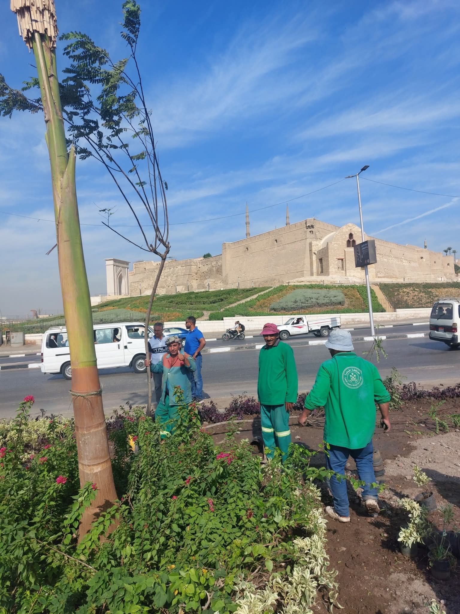 فريق عمل المشروع يجوب ميادين القاهرة فريق عمل المشروع يجوب ميادين القاهرة