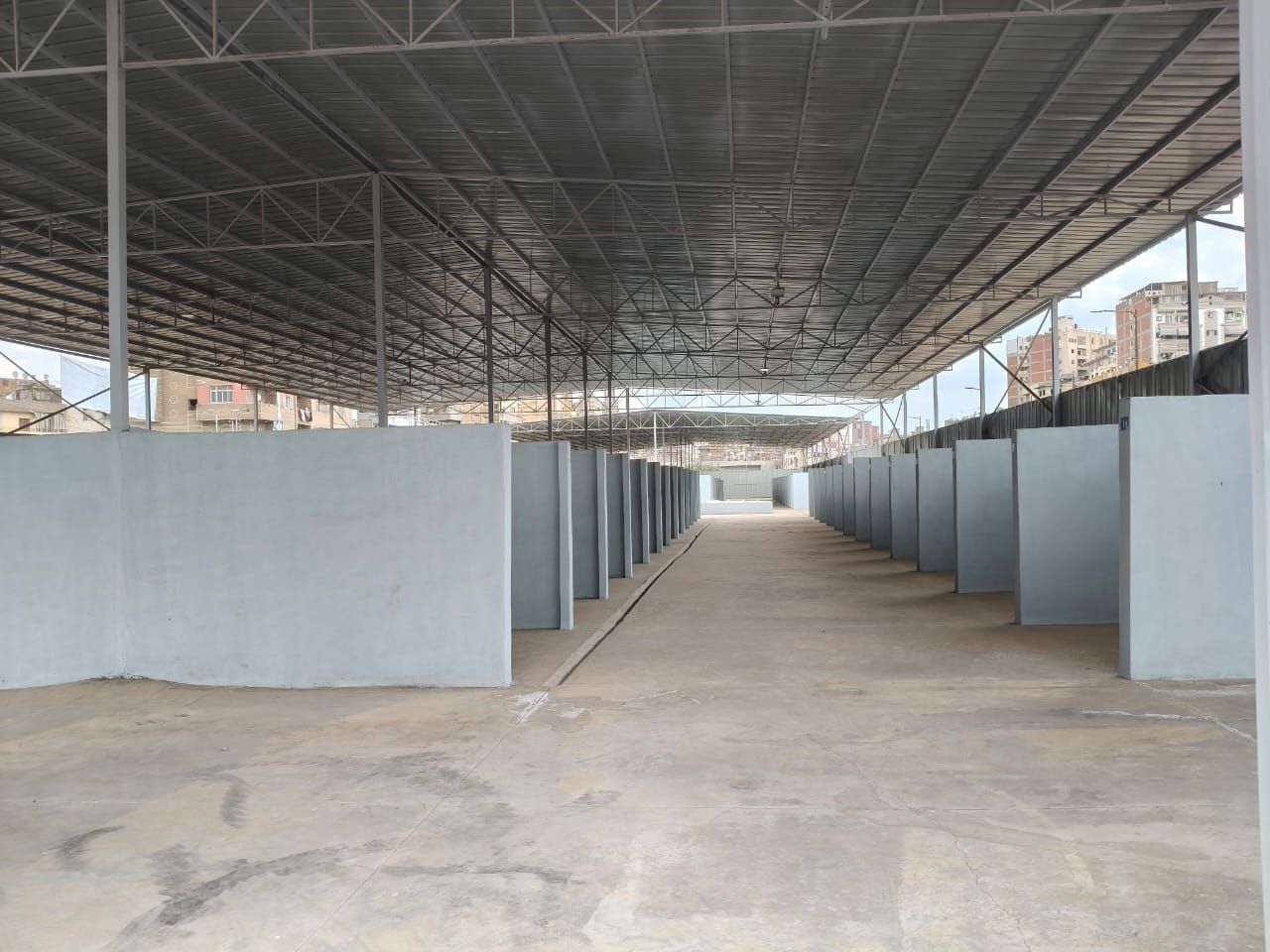 1000256030 1000256030