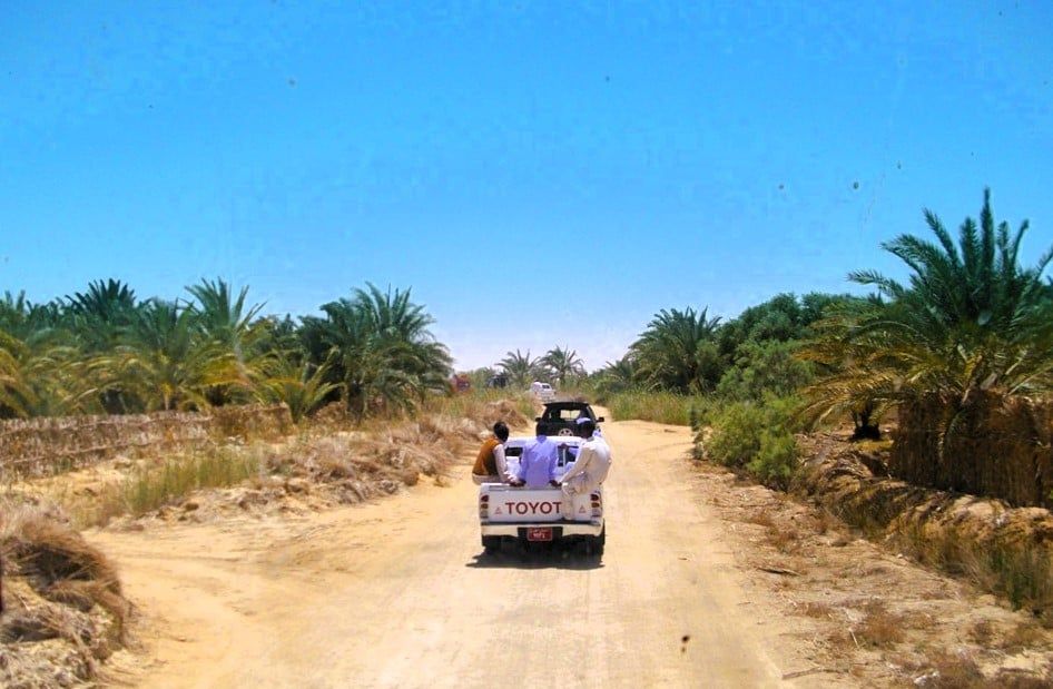 مدخل واحة قارة ام الصغير مدخل واحة قارة ام الصغير