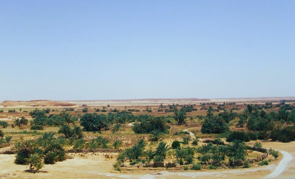 الواحة المعزولة في الصحراء الغربية الواحة المعزولة في الصحراء الغربية