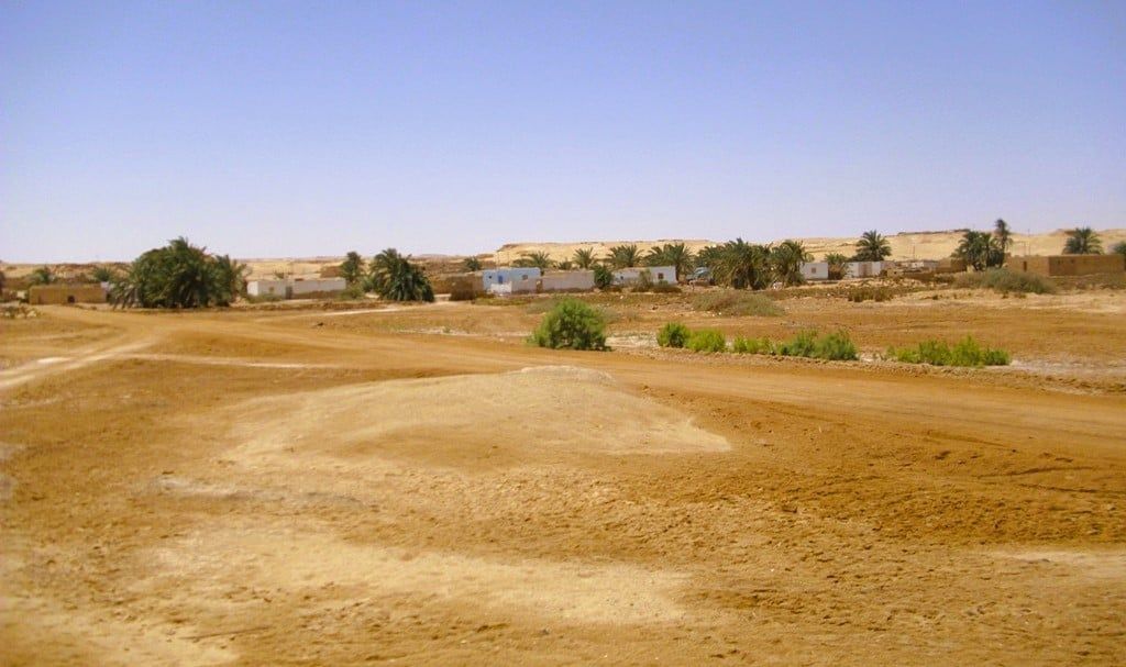 اطراف واحة قارة ام الصغير اطراف واحة قارة ام الصغير