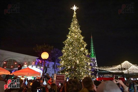 شجرة عيد الميلاد شجرة عيد الميلاد