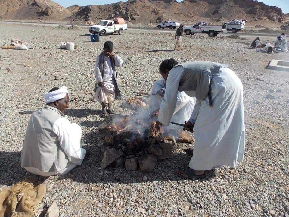 نحر الماشية لتجهيز للكرامة نحر الماشية لتجهيز للكرامة