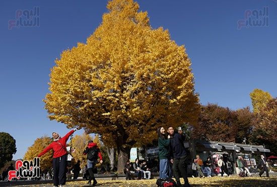 التقاط الصور التذكارية وسط الطبيعة التقاط الصور التذكارية وسط الطبيعة