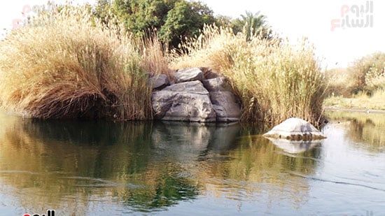 محميات-طبيعية