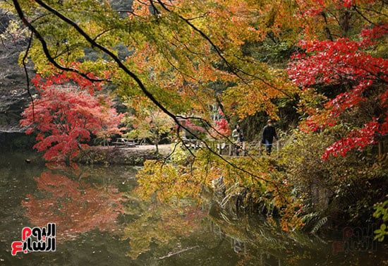 زوار الحدائق زوار الحدائق