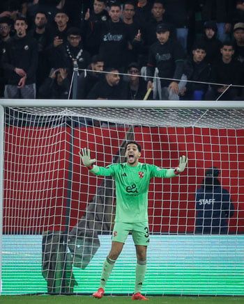 مصطفى شوبير