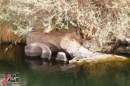 الصخور-وسط-النيل-بمدينة-أسوان-السياحية