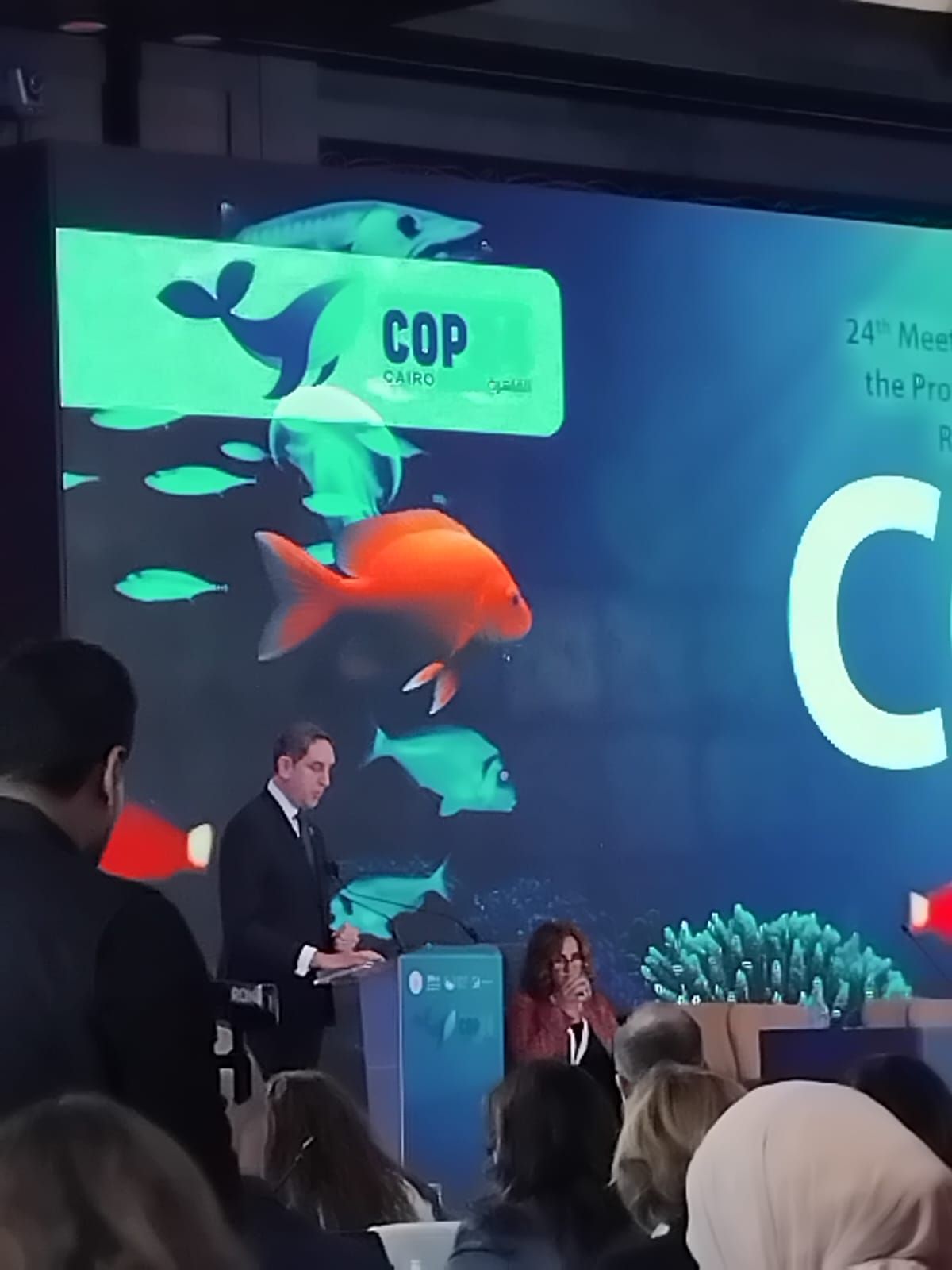 f9b02a13-967e-4b9d-8474-a78a758ddcde