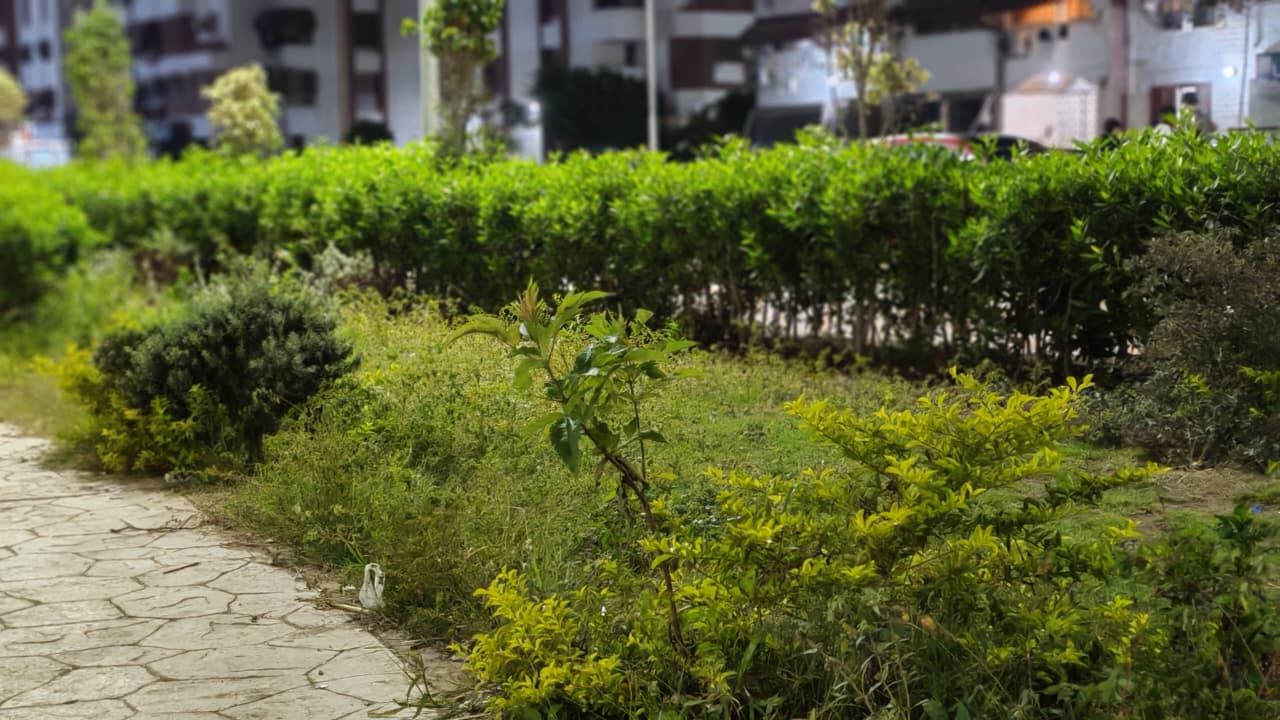 حديقة الكروان حديقة الكروان