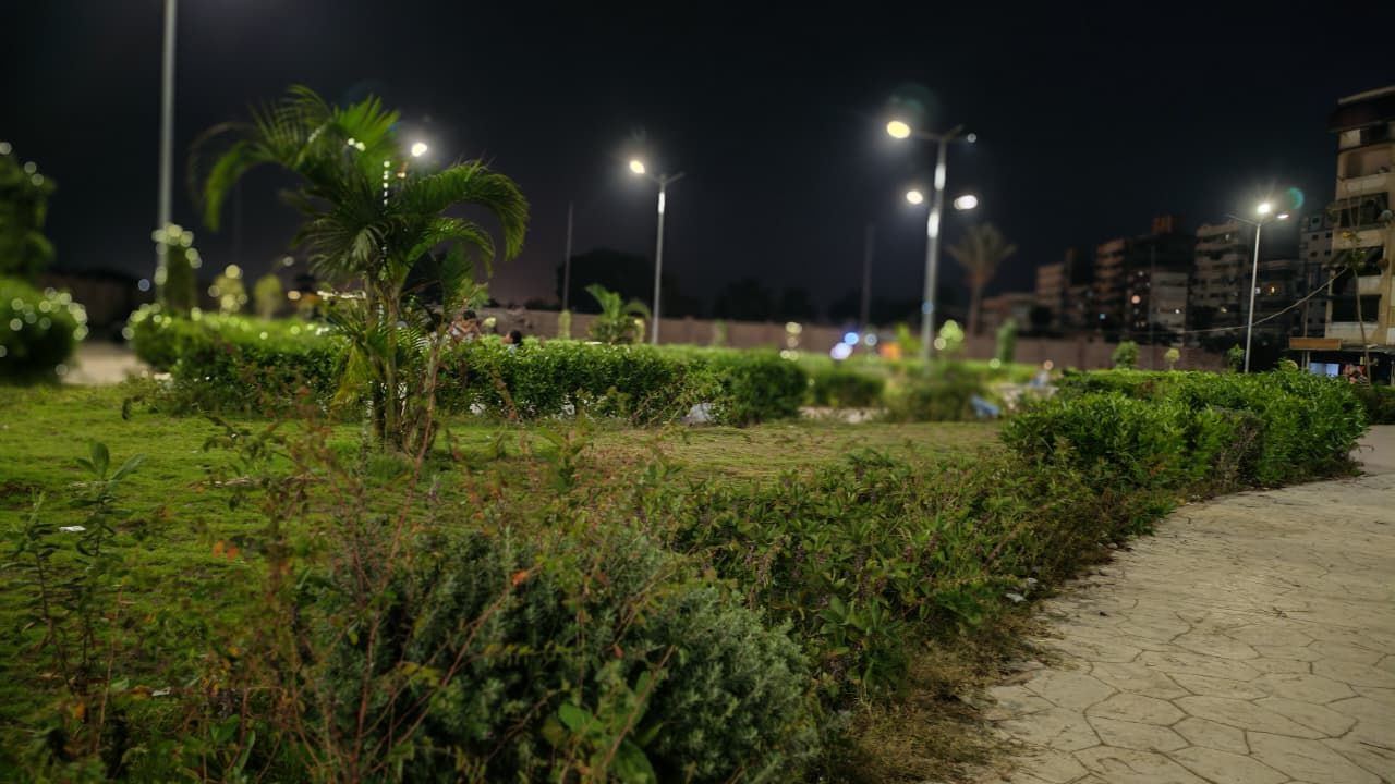 الحديقة بالزهور الحديقة بالزهور