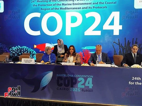 وزير ة البيئة