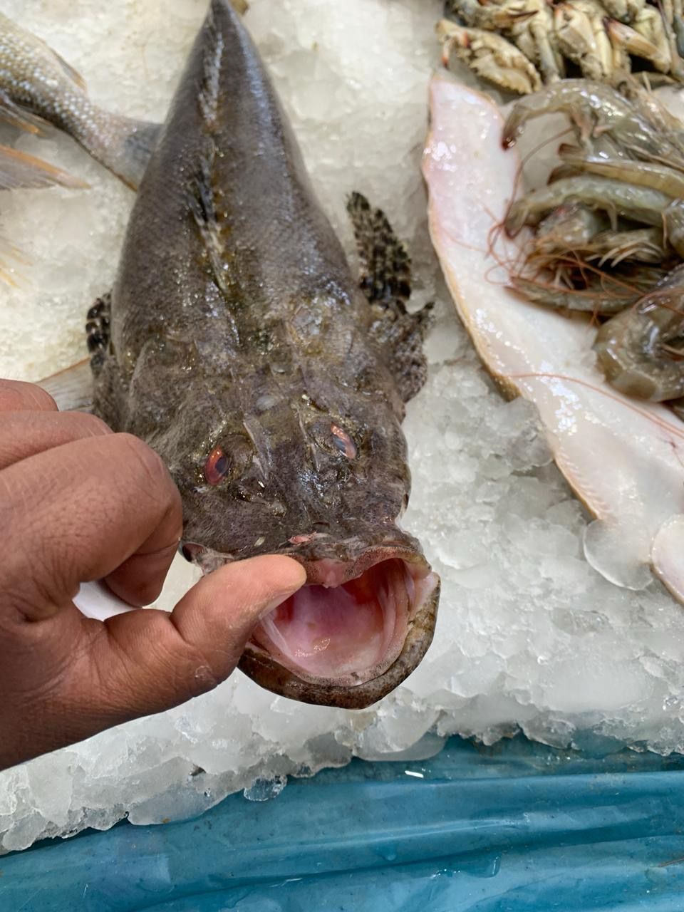 ذات،فوائد غذائية مرتفعة ذات،فوائد غذائية مرتفعة