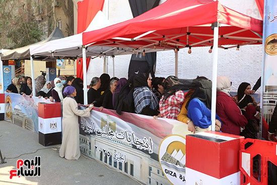 انتخابات مجلس النواب (8)