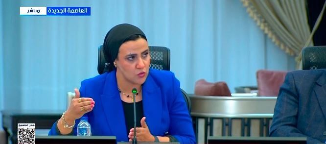 الزميلة هند مختار، مدير تحرير اليوم السابع الزميلة هند مختار، مدير تحرير اليوم السابع