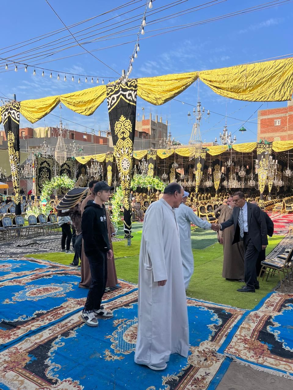 نجل الراحلة نجل الراحلة