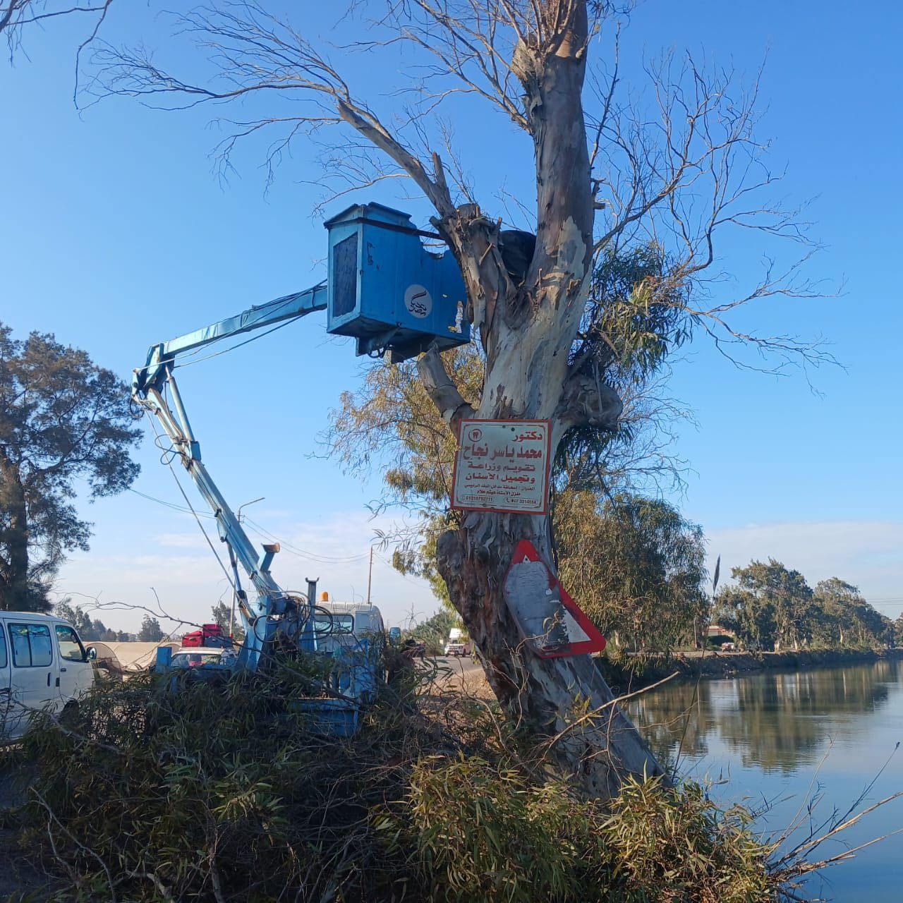 تقليم الأشجار بطريق اسحاقه السرو تقليم الأشجار بطريق اسحاقه السرو