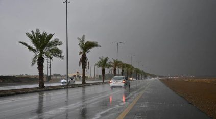 توقعات الطقس اليوم: أمطار رعدية ورياح على عدة مناطق 