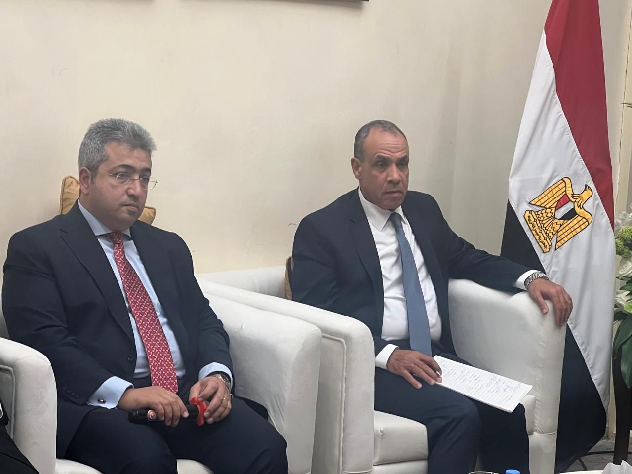 وزير الخارجية بدر عبد العاطى