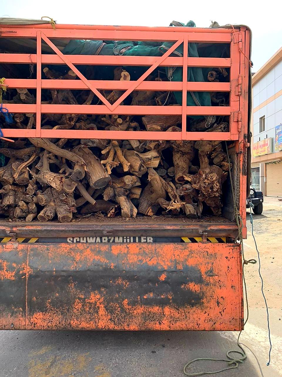 ضبط 5 مواطنين بحوزتهم حطب محلي معروض للبيع في القصيم