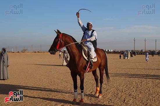 فارس-المرماح فارس-المرماح