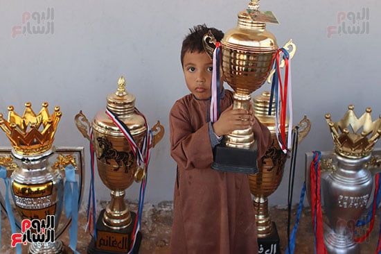 كؤوس-المسابقة كؤوس-المسابقة