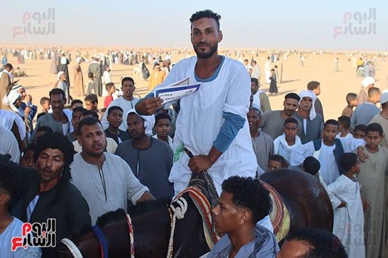 الفارس-الفائز الفارس-الفائز