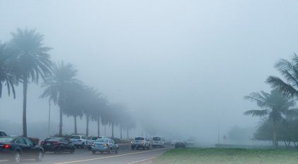 ضباب يحجب الرؤية على محافظتي القريات وطبرجل