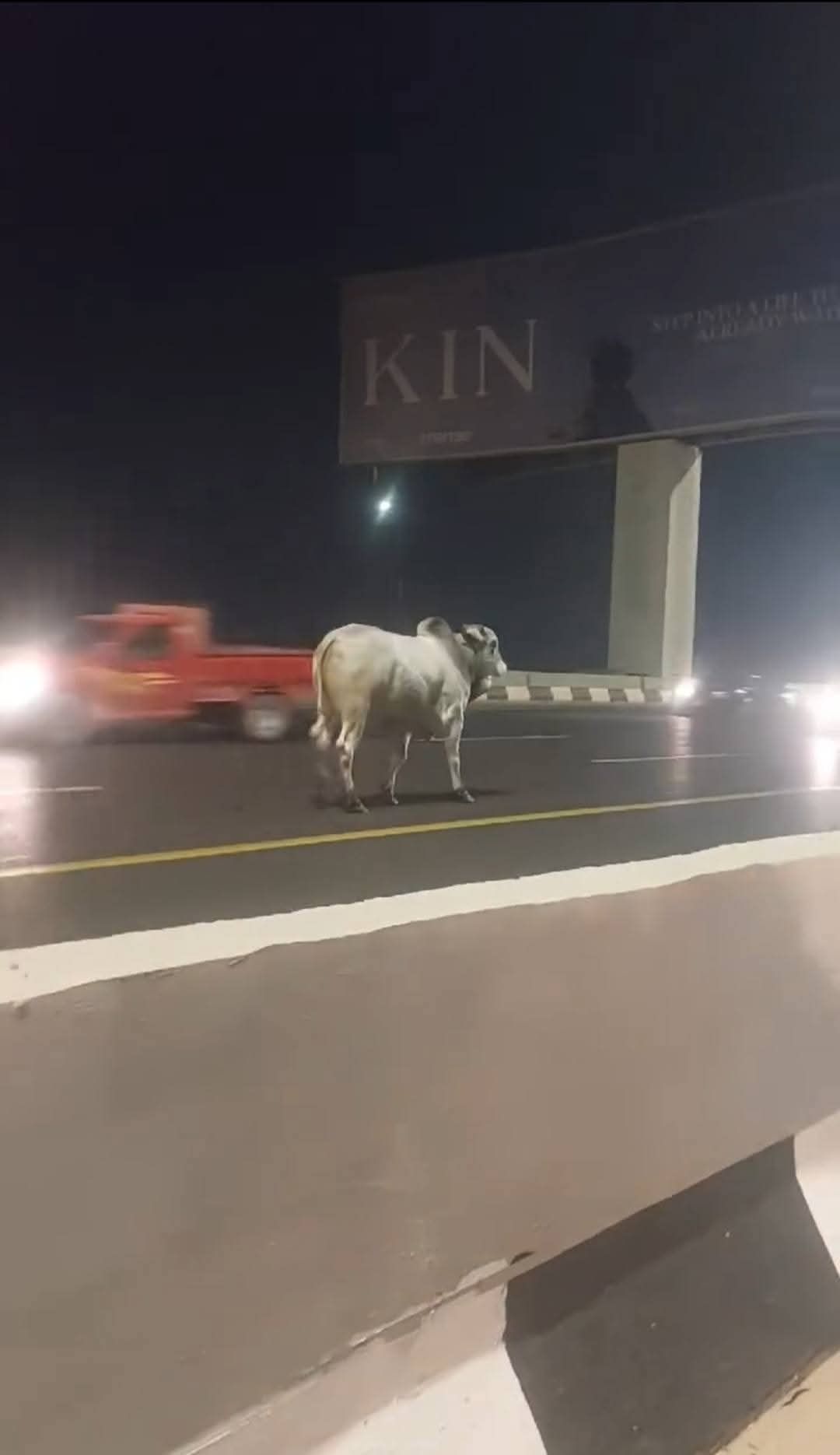 جانب من الواقعة (4)