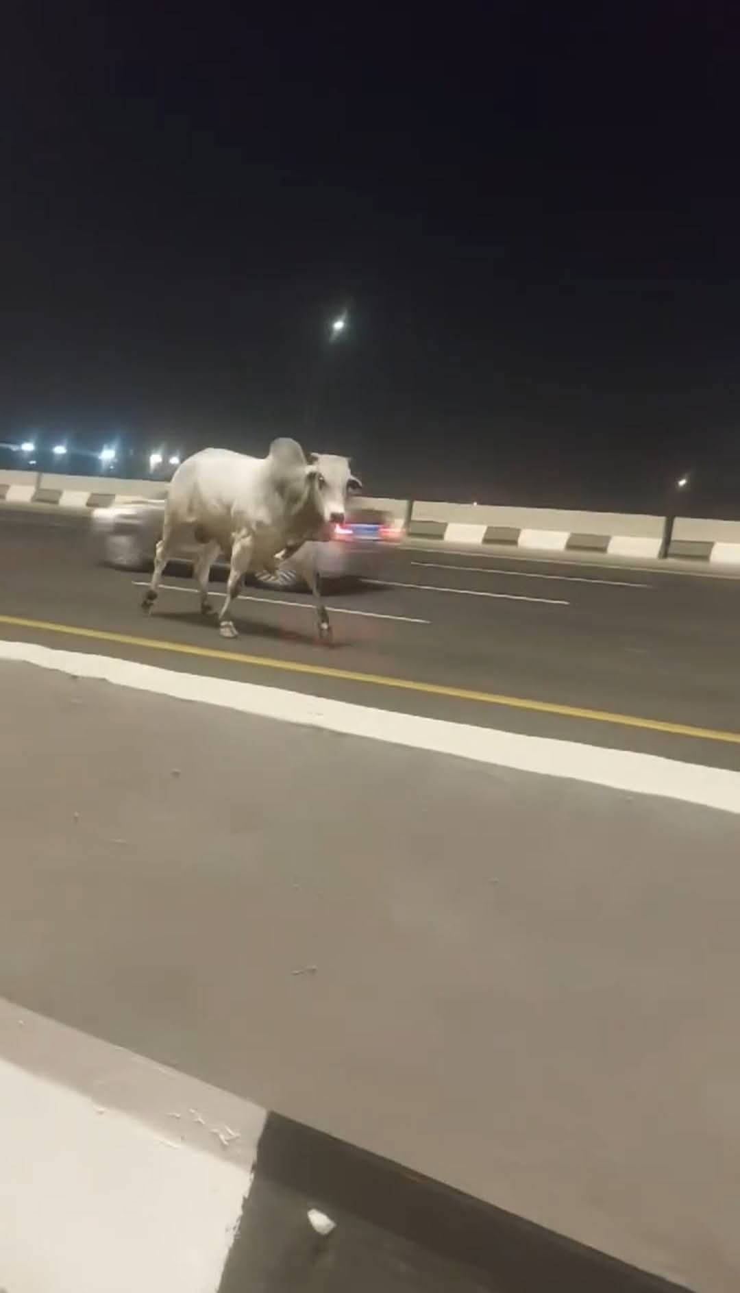 جانب من الواقعة (2)