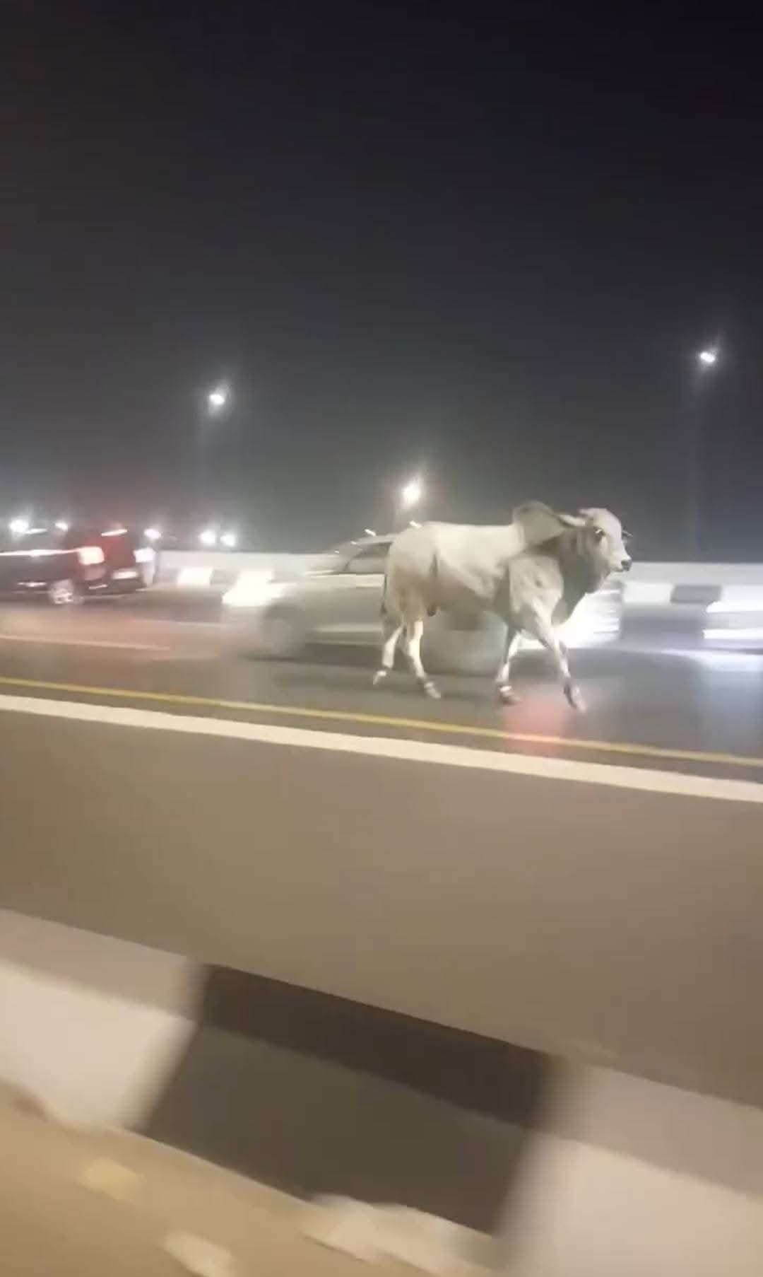 جانب من الواقعة (3)