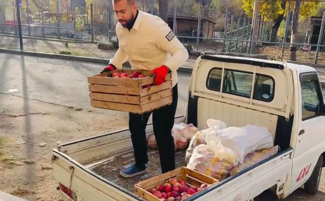 طعام الافيال فى جورجيا طعام الافيال فى جورجيا