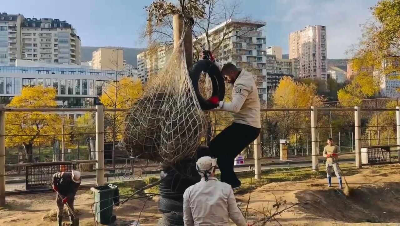 تدريب على التعامل مع الافيال فى جورجيا تدريب على التعامل مع الافيال فى جورجيا