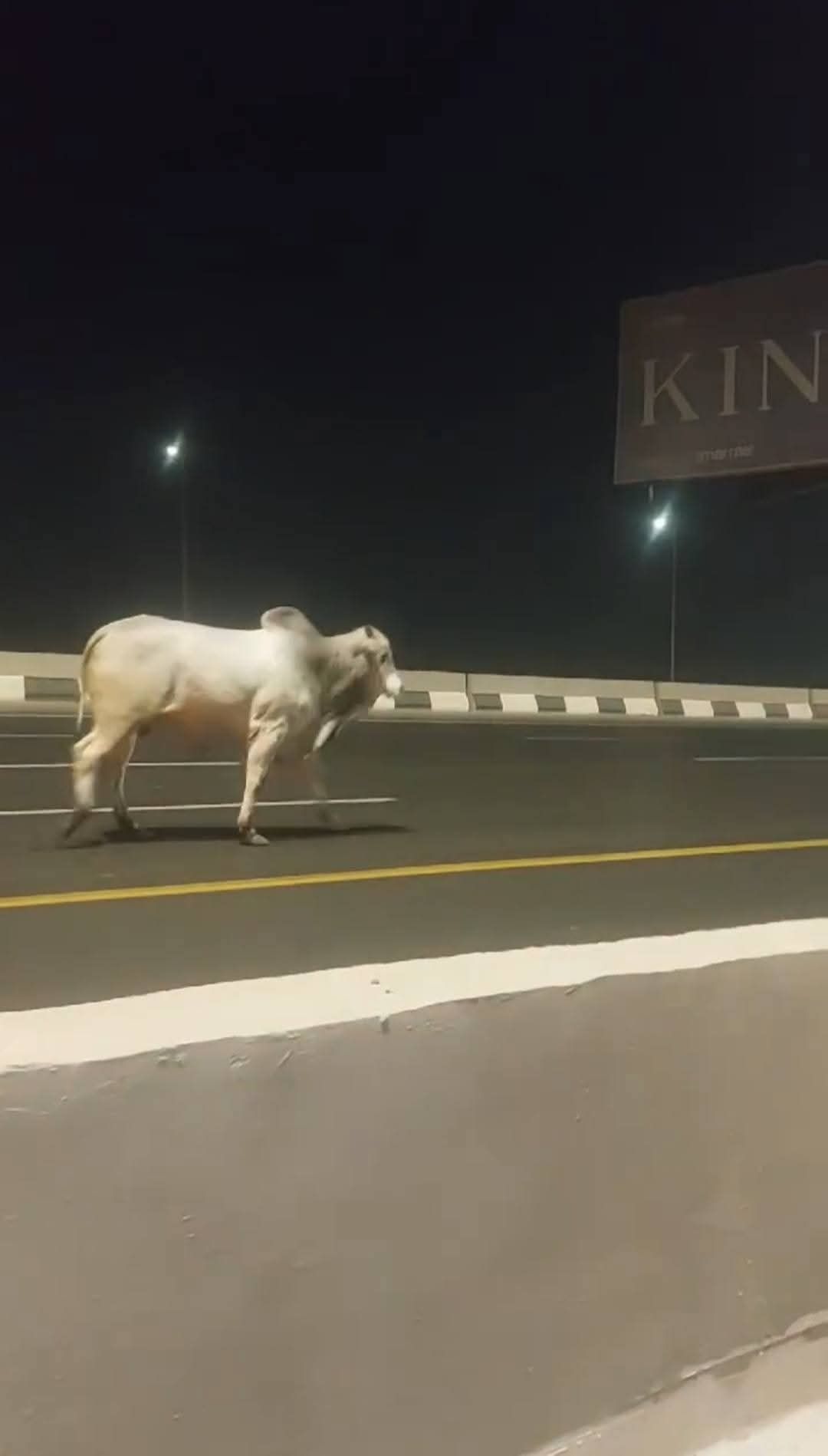 جانب من الواقعة (1)