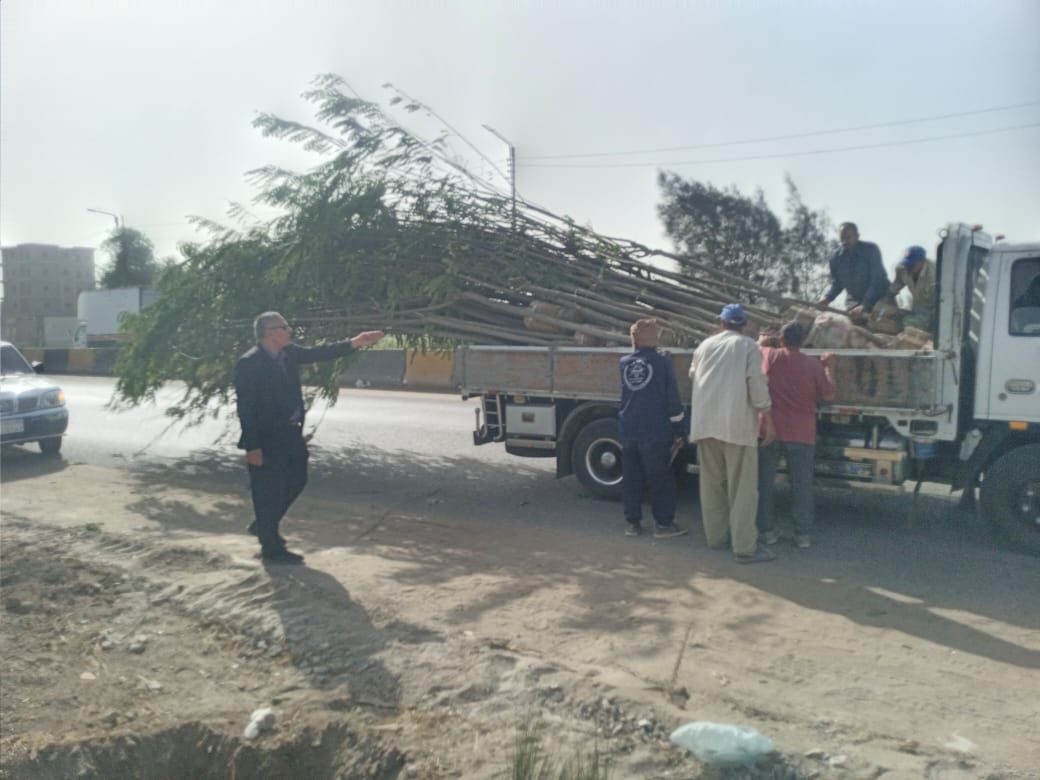 الدقهلية تُطلق أكبر حملة للتشجير (2) الدقهلية تُطلق أكبر حملة للتشجير (2)