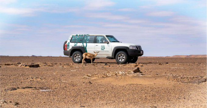 ضبط مواطن ارتكب مخالفة التخييم في محمية الملك عبدالعزيز