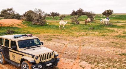 ضبط مواطن ارتكب مخالفة التخييم دون ترخيص في محمية الإمام فيصل